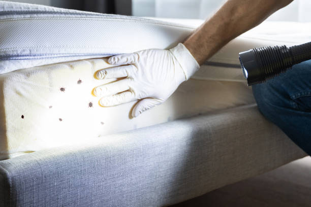 Trusted Inman, KS Pest Control Experts