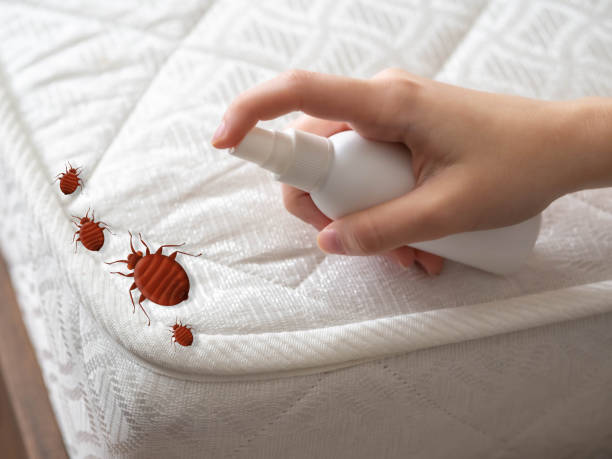 Reliable Inman, KS Pest Control Solutions