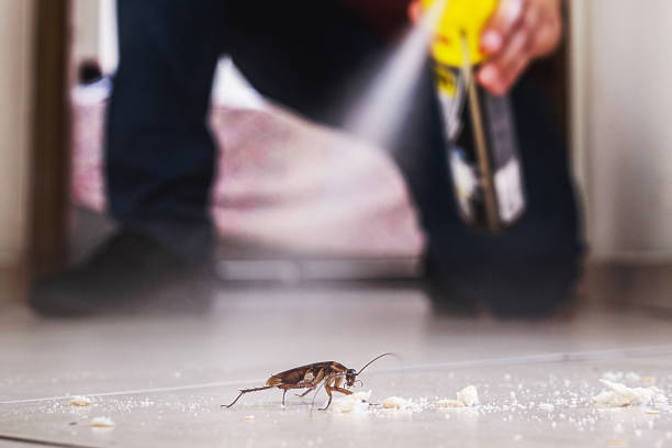Best Pest Prevention Services  in Inman, KS
