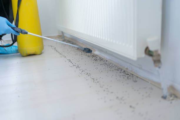 Best Pest Control Near Me  in Inman, KS