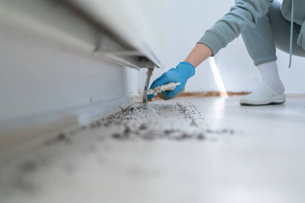 Best Mosquito Control Services  in Inman, KS