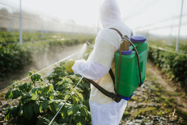 Best Residential Pest Control  in Inman, KS